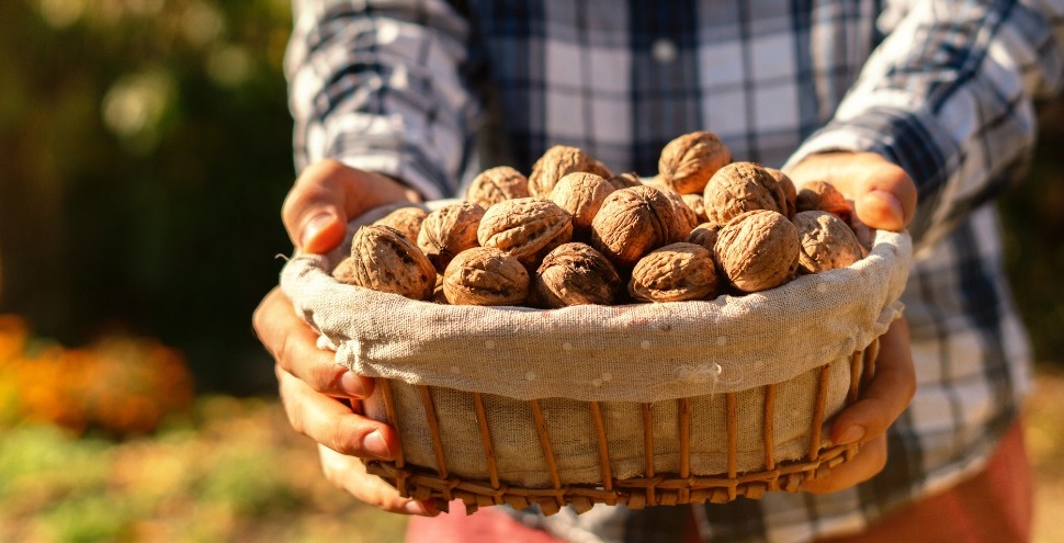 پیشگیری از سرطان - فواید گردو برای آقایان
