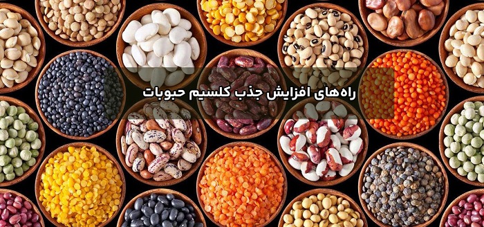مواد غذایی کلسیم دار - راههای افزایش جذب کلسیم حبوبات