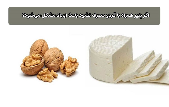 مواد غذایی کلسیم دار - اگر پنیر همراه با گردو مصرف نشود باعث ایجاد مشکل میشود؟
