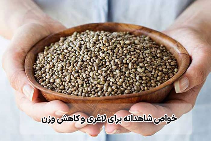 خواص شاهدانه برای لاغری و کاهش وزن