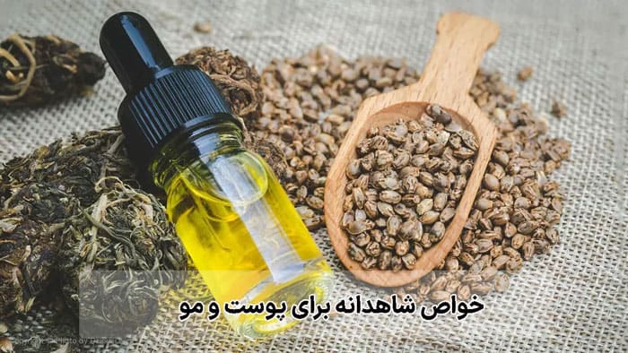 خواص شاهدانه برای پوست و مو