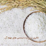 کالری برنج و دانستنی‌های آن