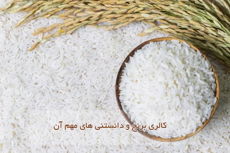 کالری برنج و دانستنیهای آن
