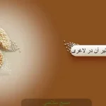 کالری رایس کیک و تاثیر آن بر کنترل وزن و سلامت